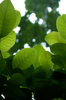 УРА! Мой первый трэк вышел на всех площадках! Можно даже добавлять его в стоис и рилсы! Трэк сведён в отличие от демк...