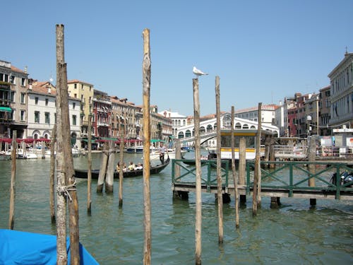 Foto stok gratis gondola, itali, kanal besar