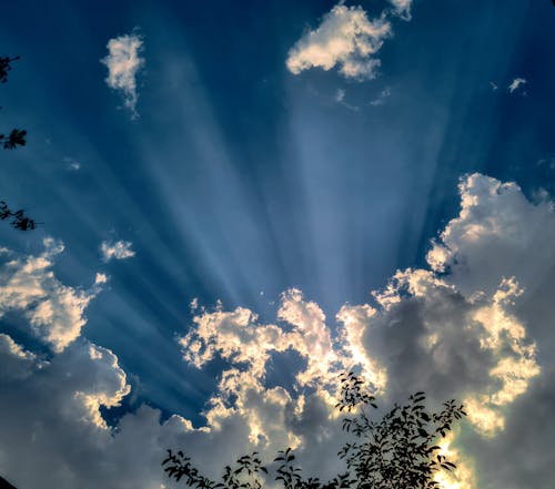 Immagine gratuita di fotografia della natura, i raggi del sole, natura meravigliosa