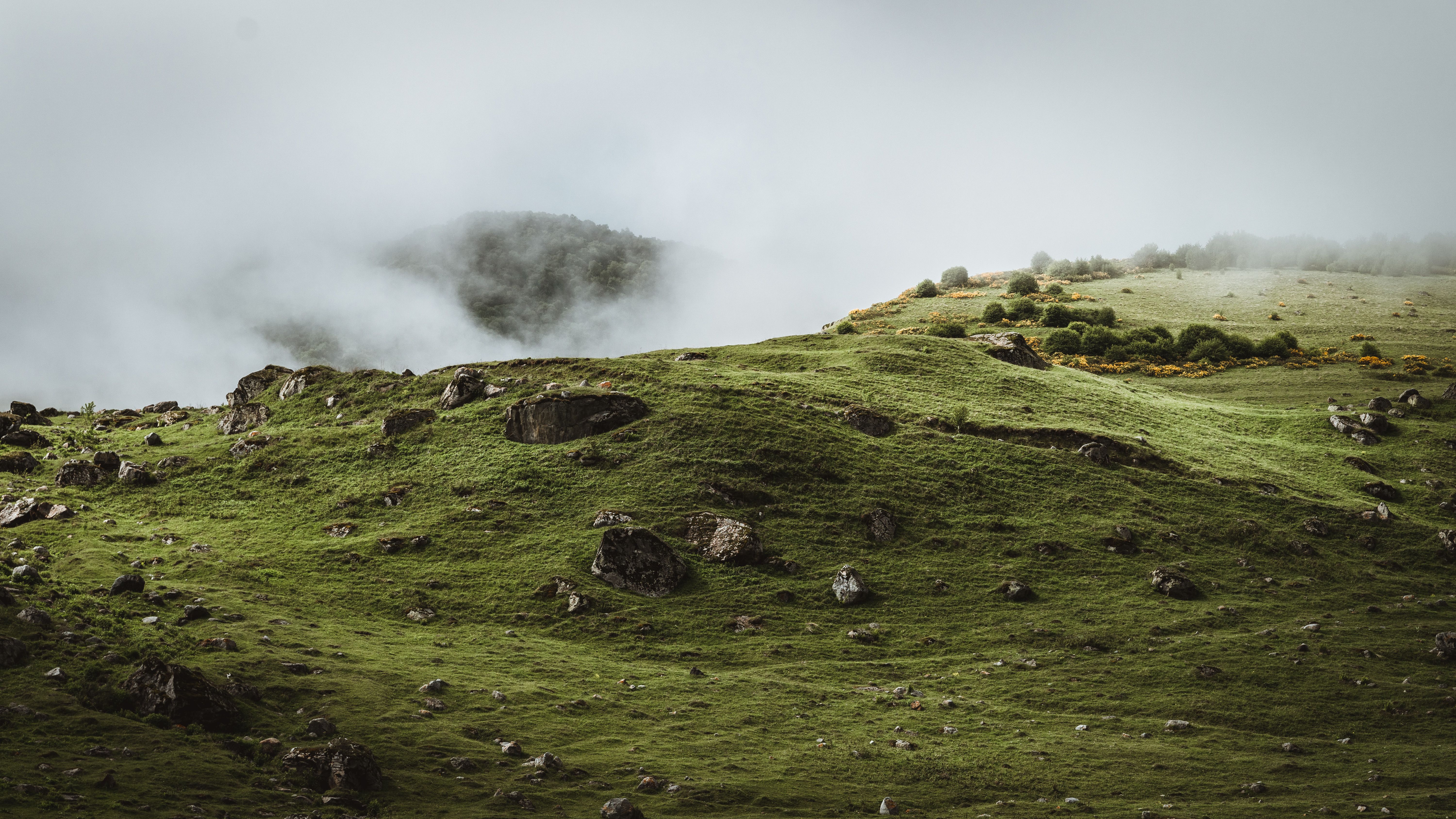 A Grass Field with Rocks · Free Stock Photo