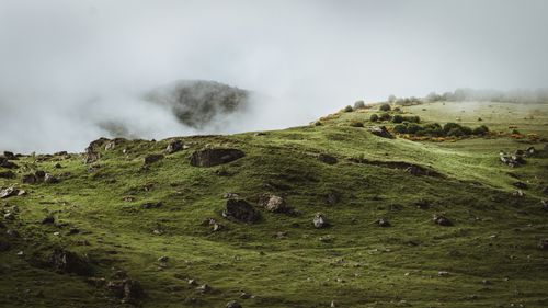 Free Misty green hillside with rocks in North Ossetia–Alania, Russia. Stock Photo