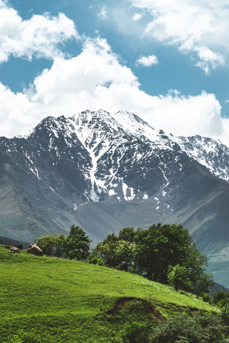 Green Hill Near Mountain Peak In Snow On Background