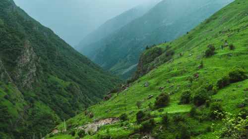 Free Explore the misty green valleys of North Ossetia, a serene and picturesque landscape in Russia. Stock Photo