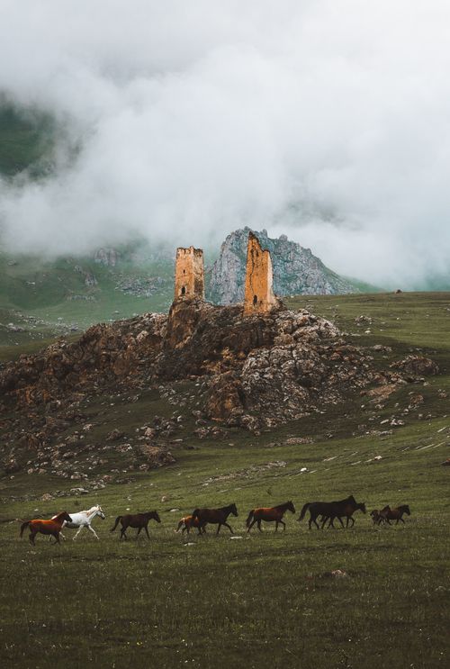 Free Majestic scene of horses grazing near historical Alania tower ruins in North Ossetia, Russia. Stock Photo