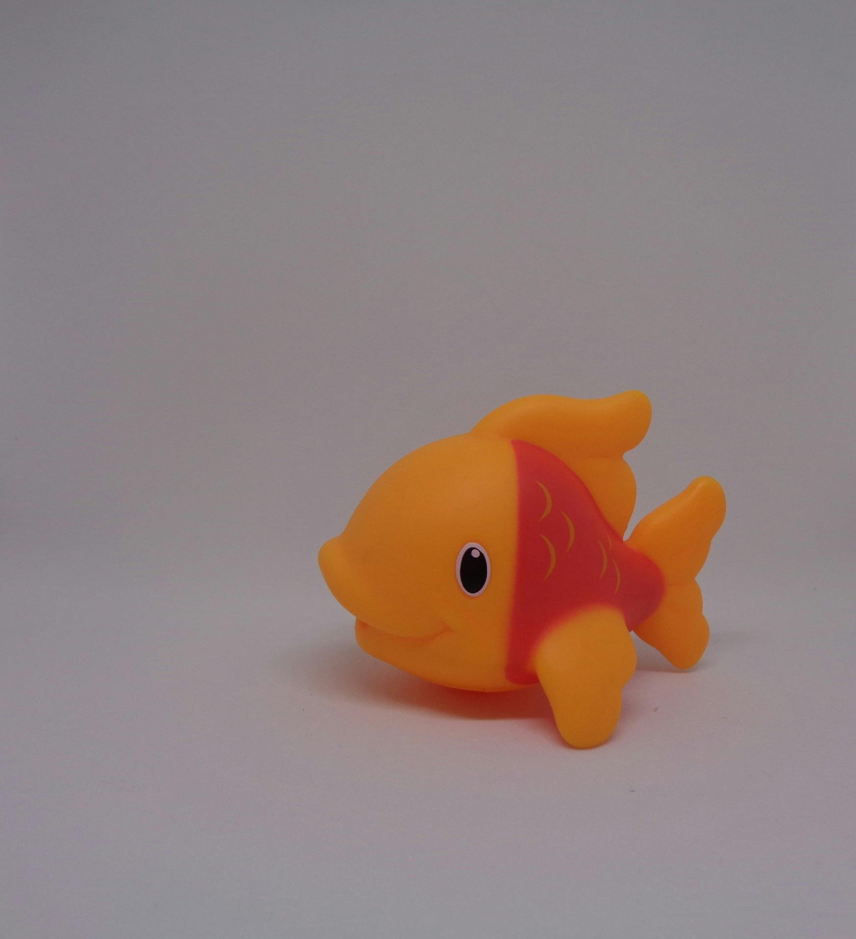 Free stock photo of adult, adult toy, bdsm