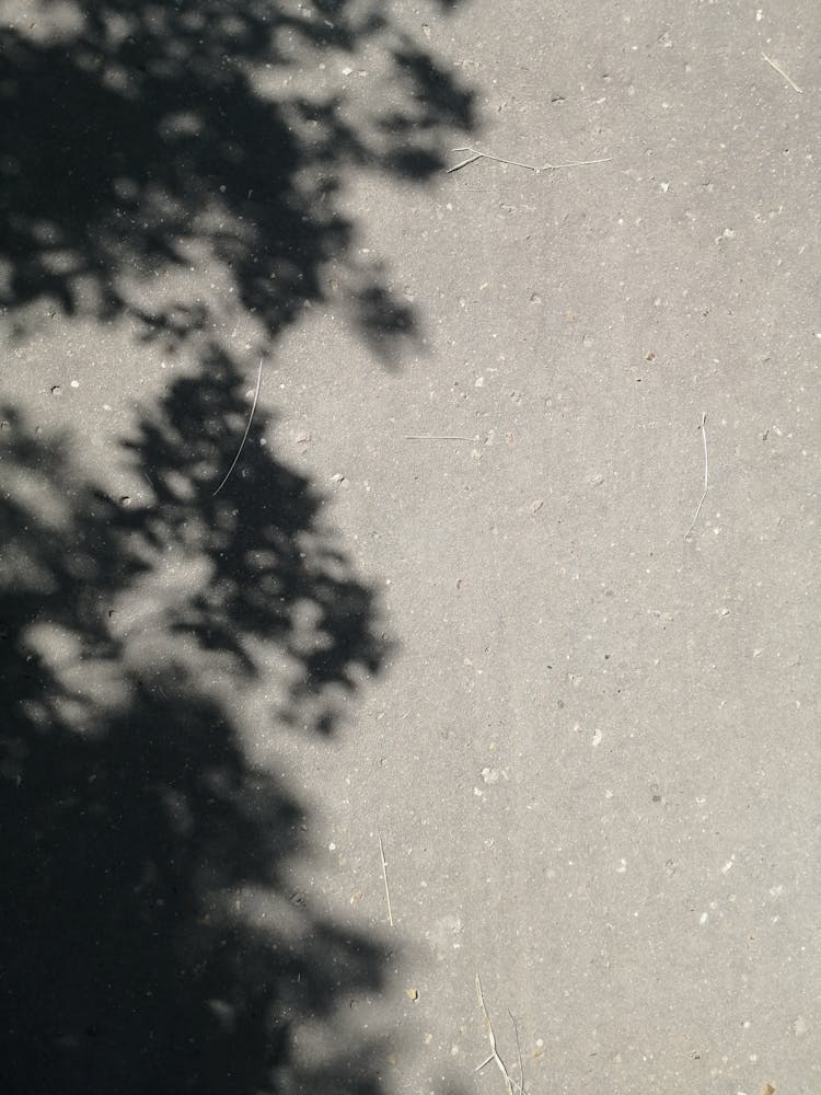 Shadow Of Leaves Of A Tree On The Ground