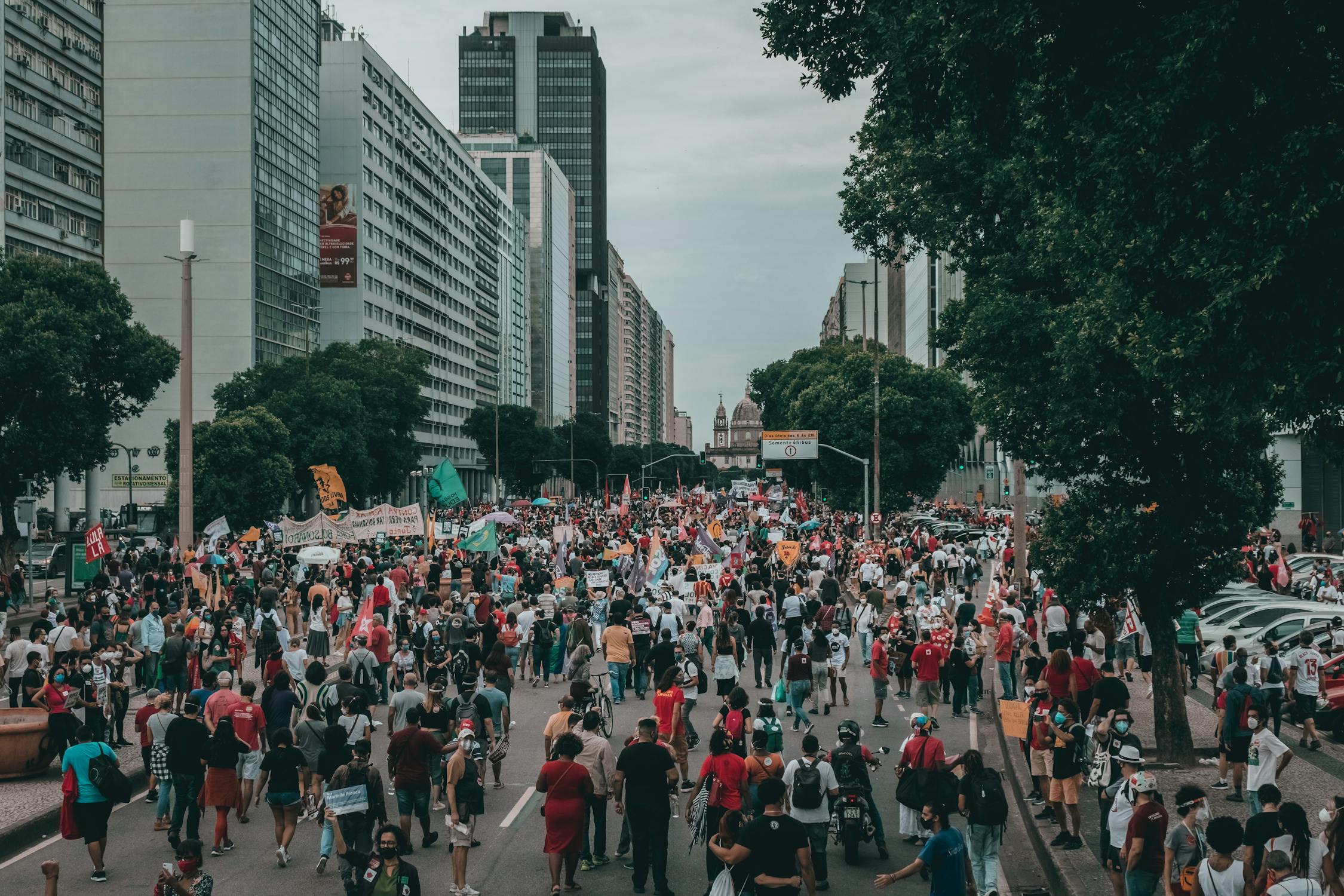 People Rallying on the Street · Free Stock Photo