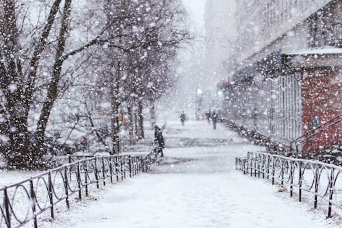 бесплатная Бесплатное стоковое фото с зима, погода, простуда Стоковое фото