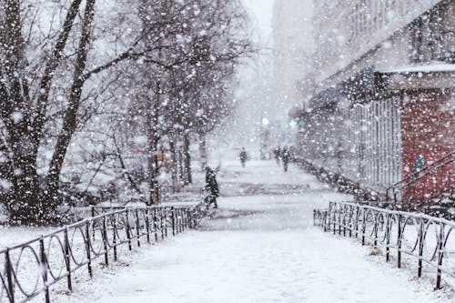 Foto profissional grátis de clima, com frio, geada