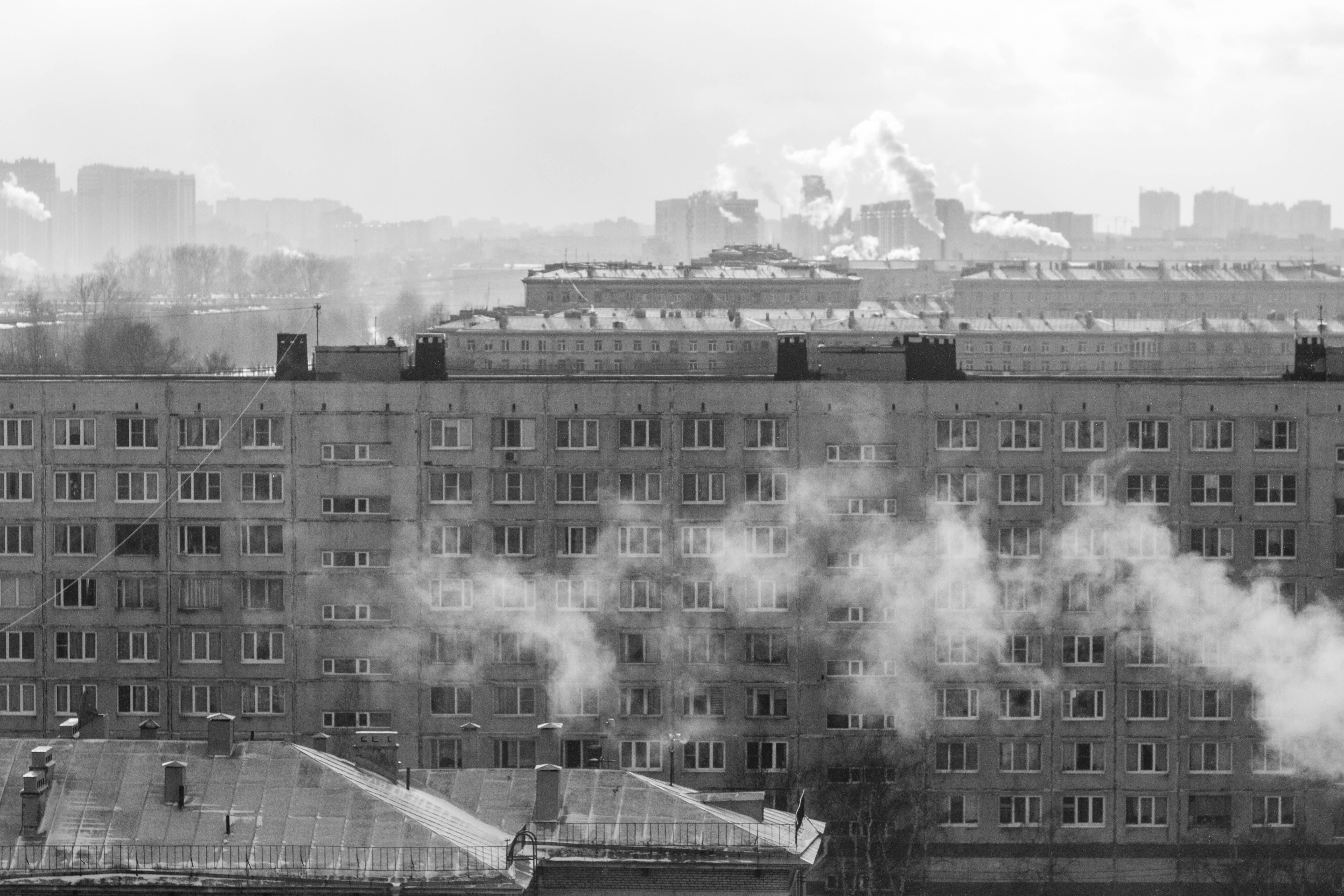 Photo by Tatyana on Pexels