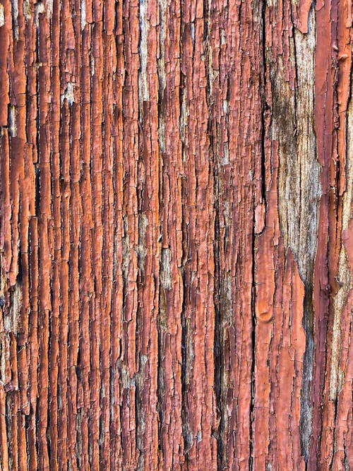 Photo of a Dry Wooden Surface