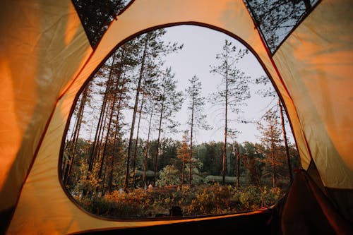 Kostnadsfri bild av camping, miljö, natur