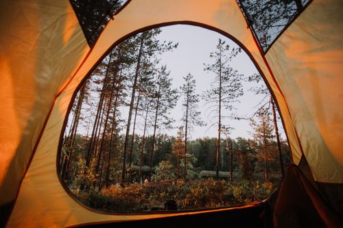 Free View from a tent in the Republic of Karelia's forest capturing the serene natural beauty. Stock Photo