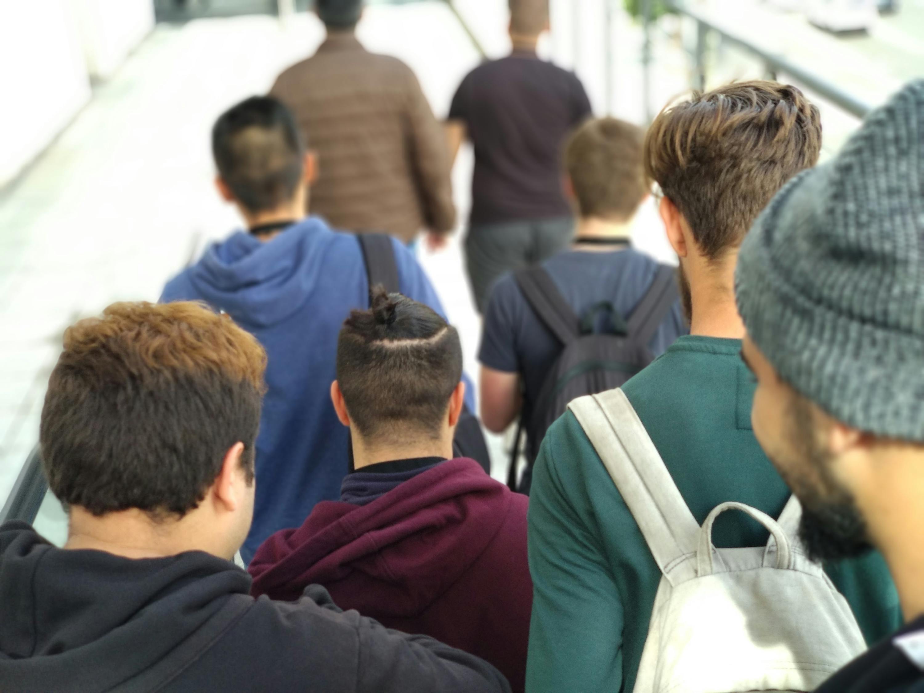Können Flöhe Auf Menschen Gehen