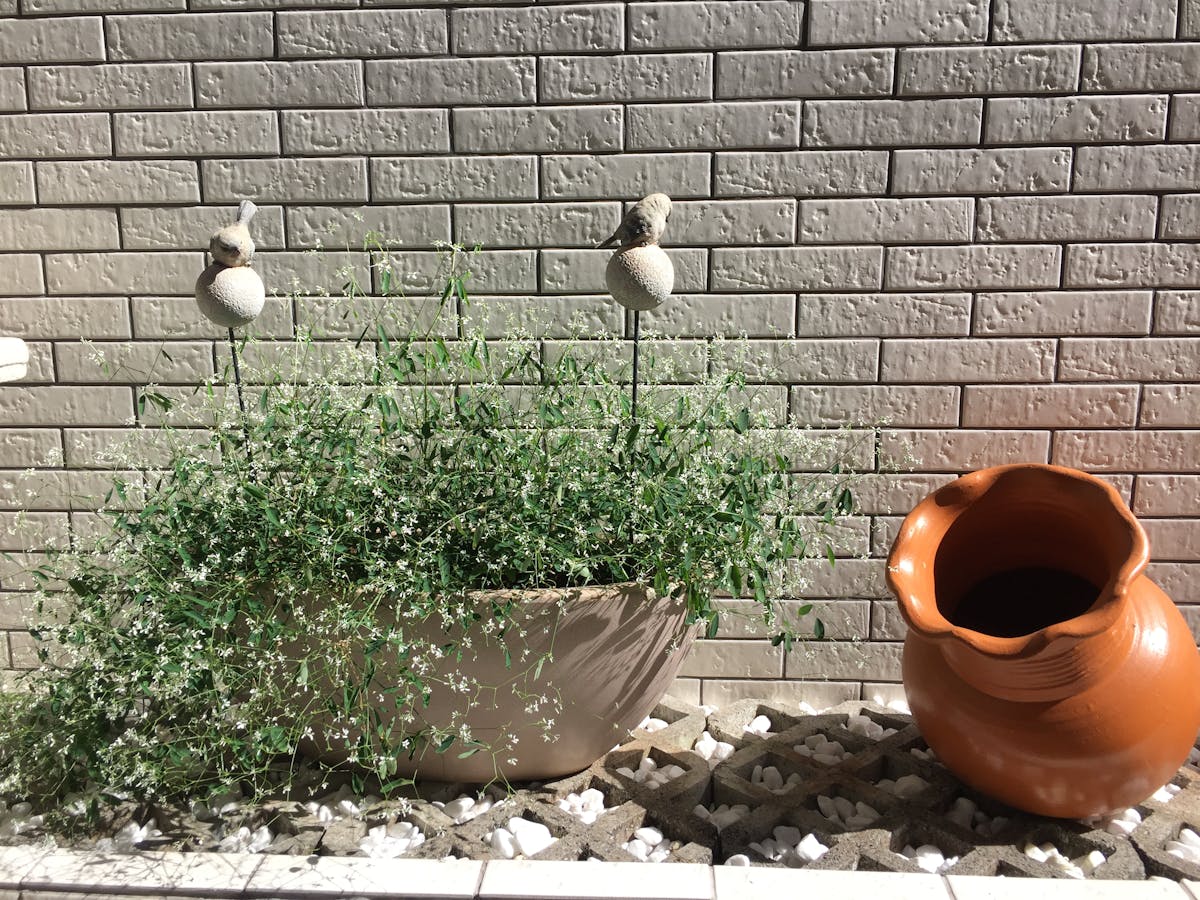 Minimal modern hallway with coat hooks holding jackets, bags, and sneakers neatly stored