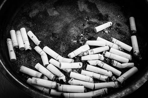 Free stock photo of black, black white, cigarette