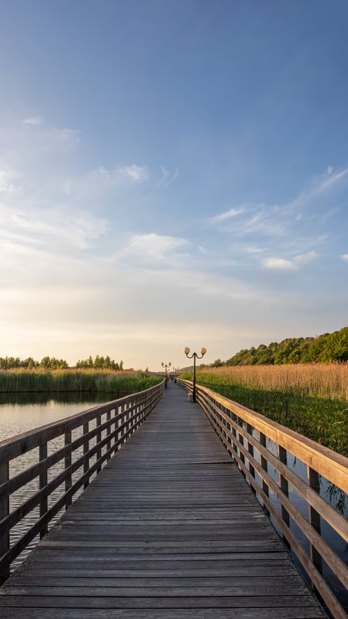 Free Tranquil wooden boardwalk with street lamps leads through natural landscape under a clear blue sky. Stock Photo