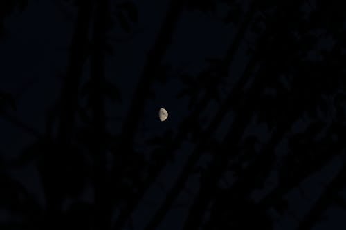 Immagine gratuita di cielo, colpo notturno, fotografia lunare
