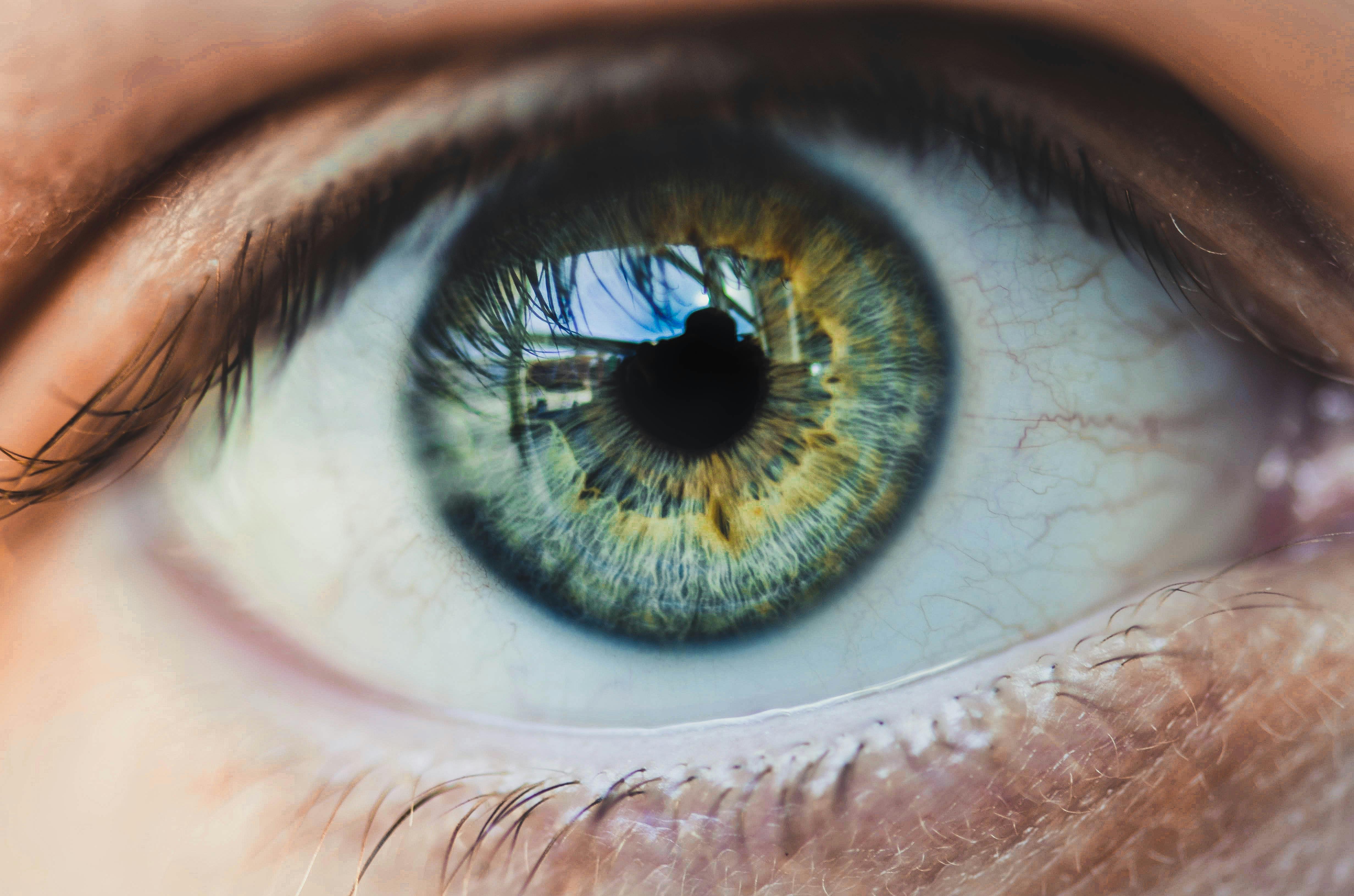 Die Magie des Gärtnerns auf kleinem Raum