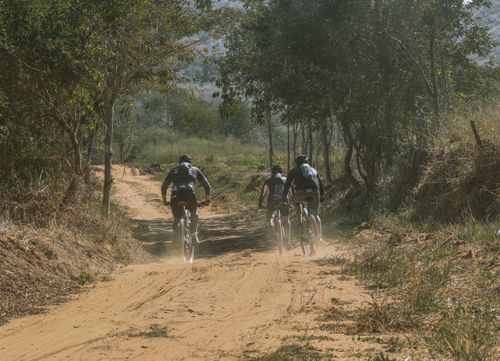 Free Group of cyclists biking on a scenic dirt trail surrounded by trees and nature. Stock Photo