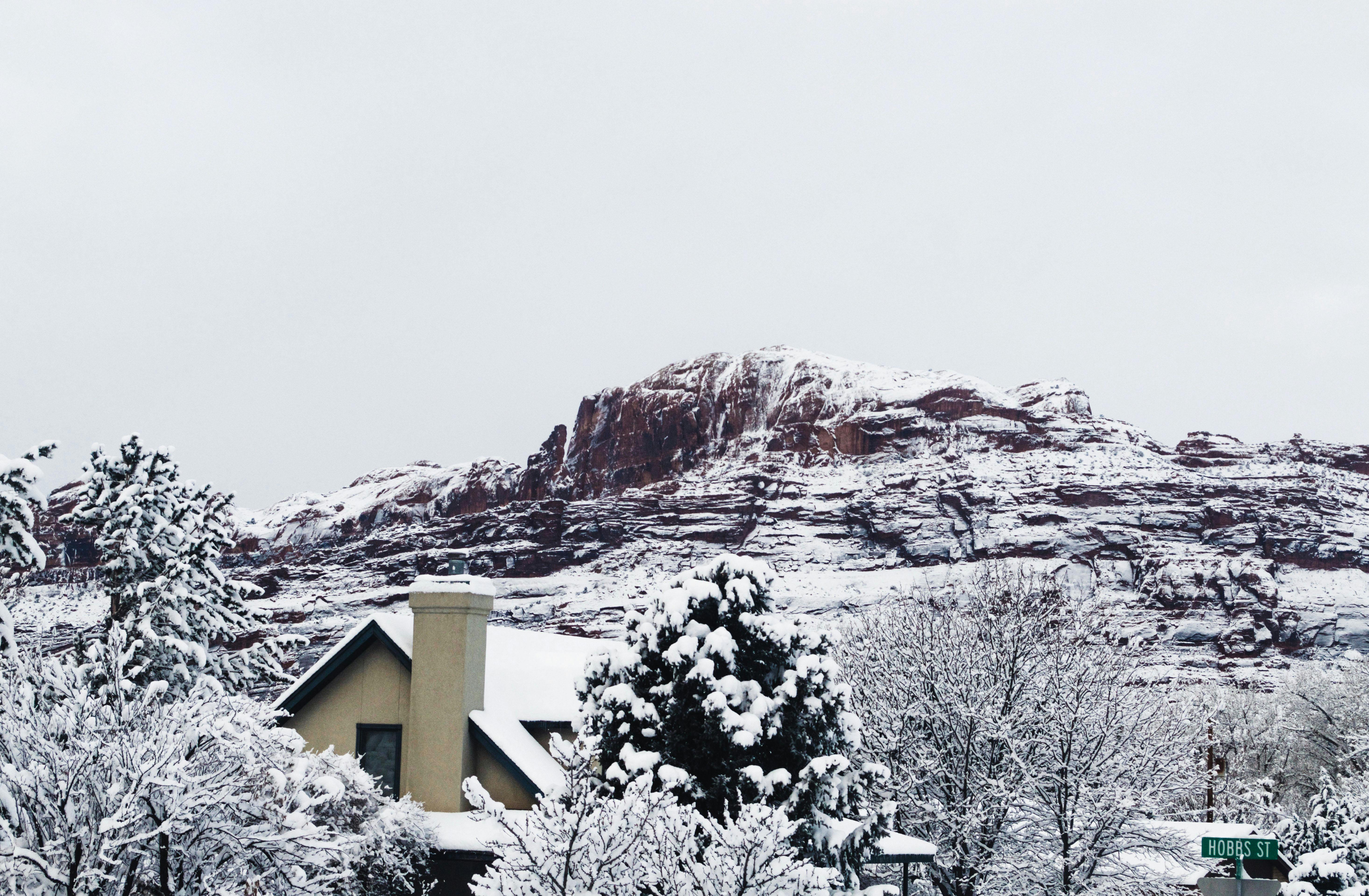 Scenic winter landscape with snow-covered mountain and trees.
