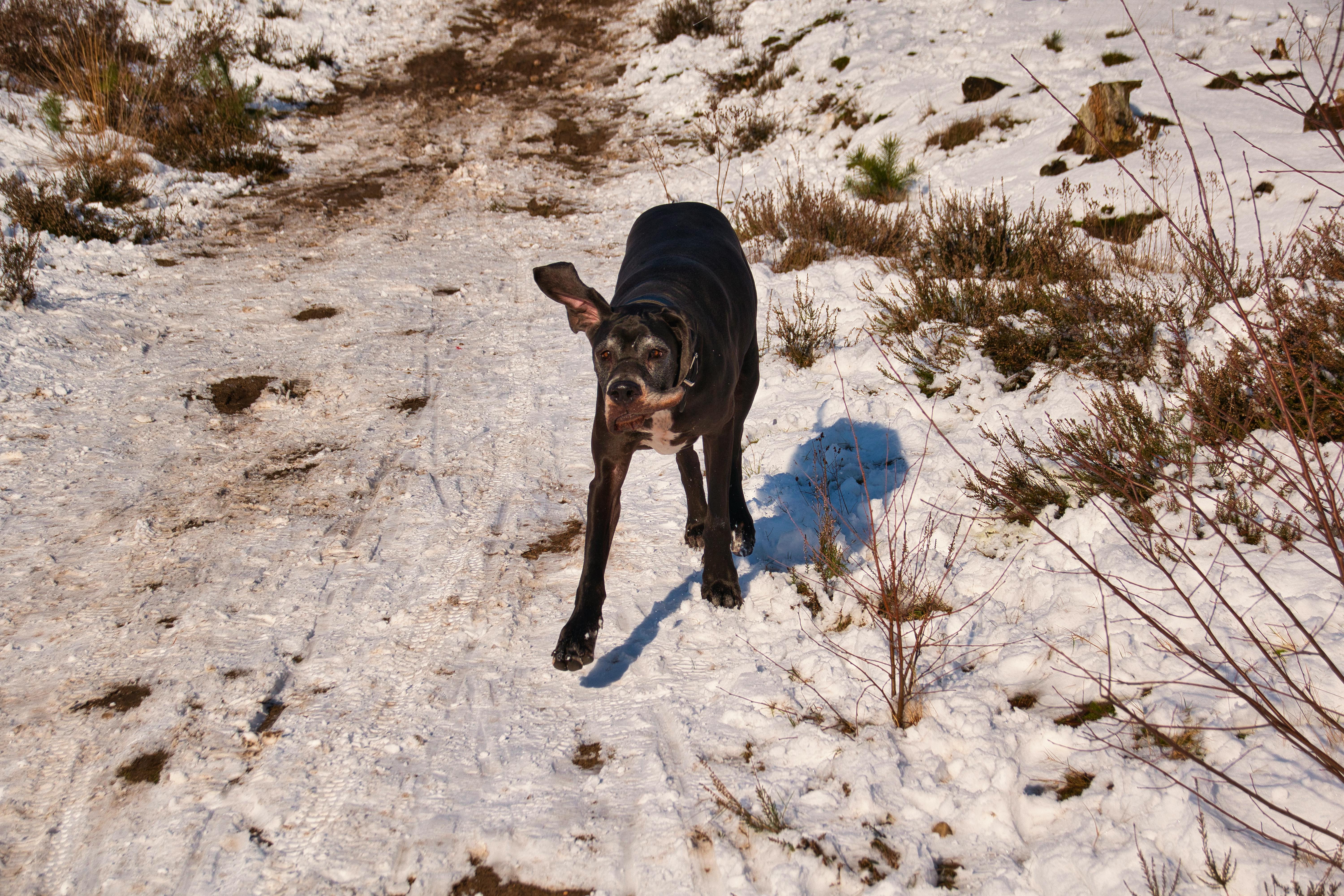 Woman smiling and holding a small sign with her goals, highlighting achievements.
