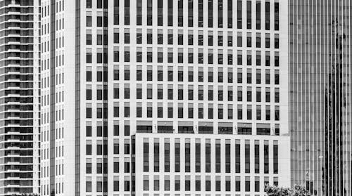 Photo of a High-Rise Building with Glass Windows