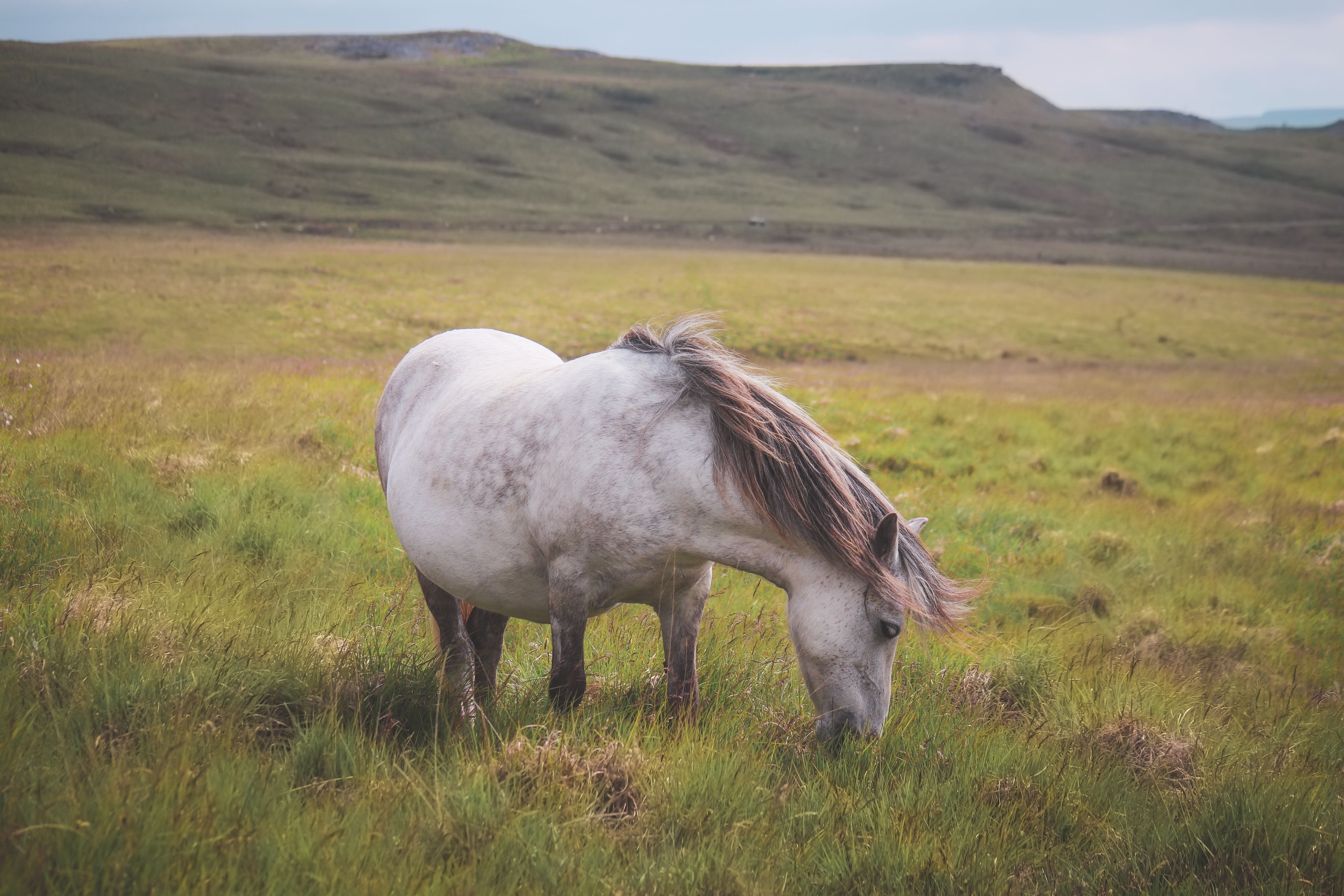 Brecon Beacons moorland hills