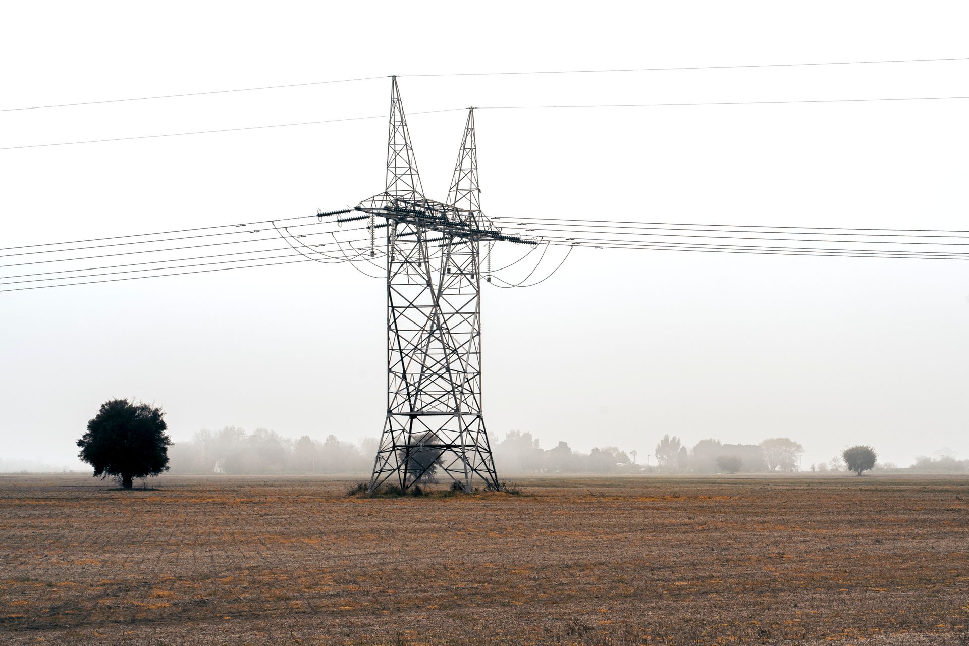 A transmission tower standing in a foggy rural field, symbolizing connectivity in nature.