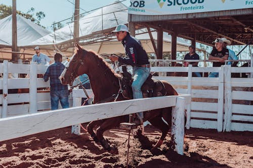 Ilmainen kuvapankkikuva tunnisteilla ajaminen, cowboy, eläin