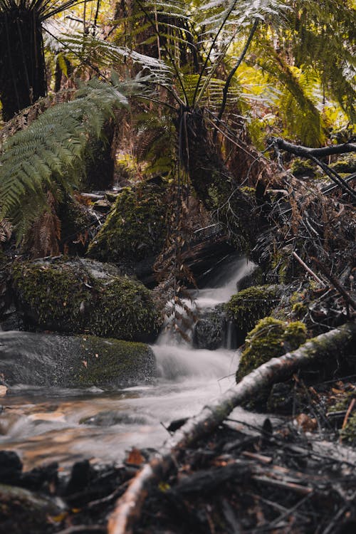 Imagine de stoc gratuită din apă curgătoare, australia, călătorie