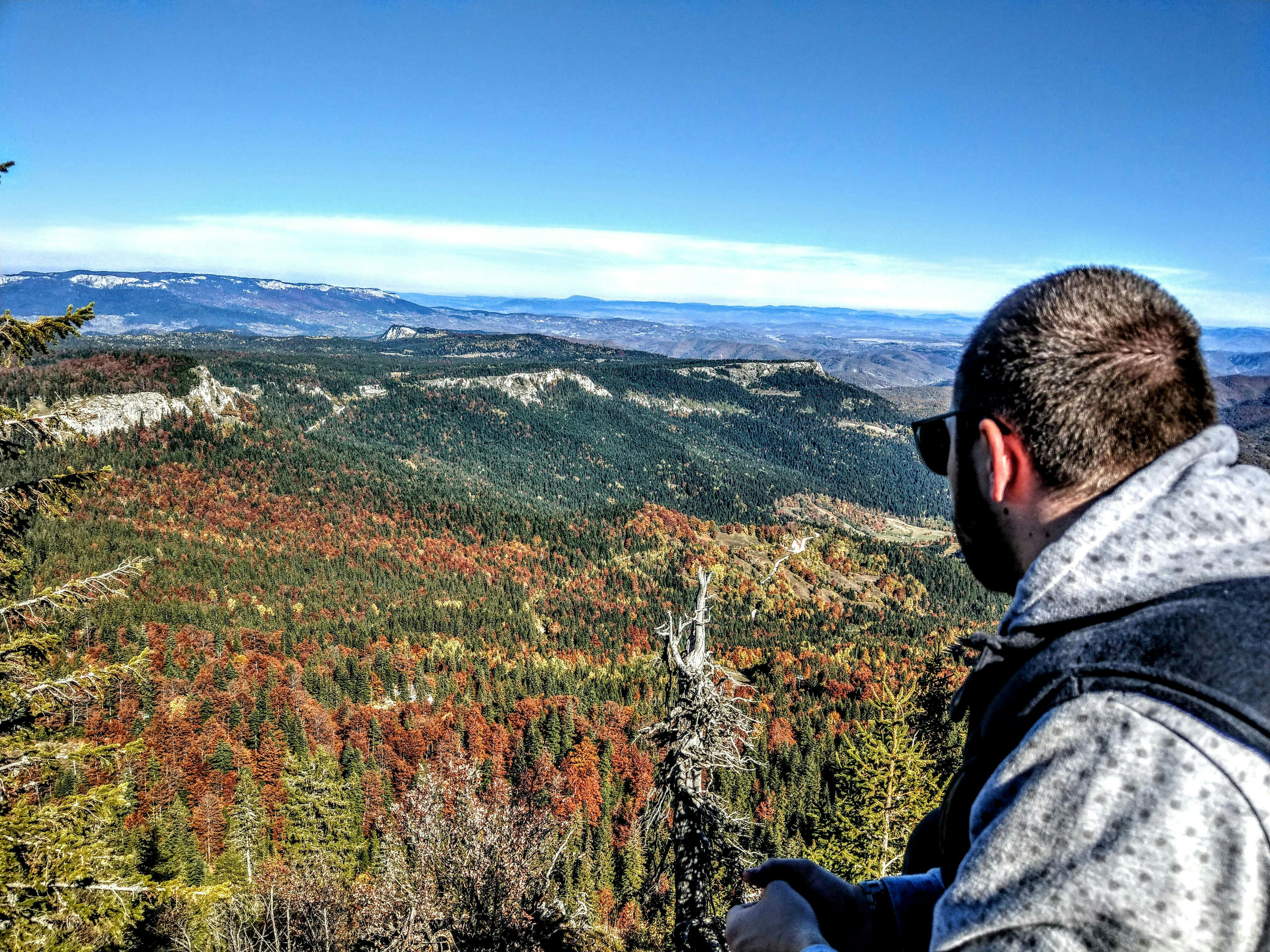 Image of the Bramble Cay Melomys