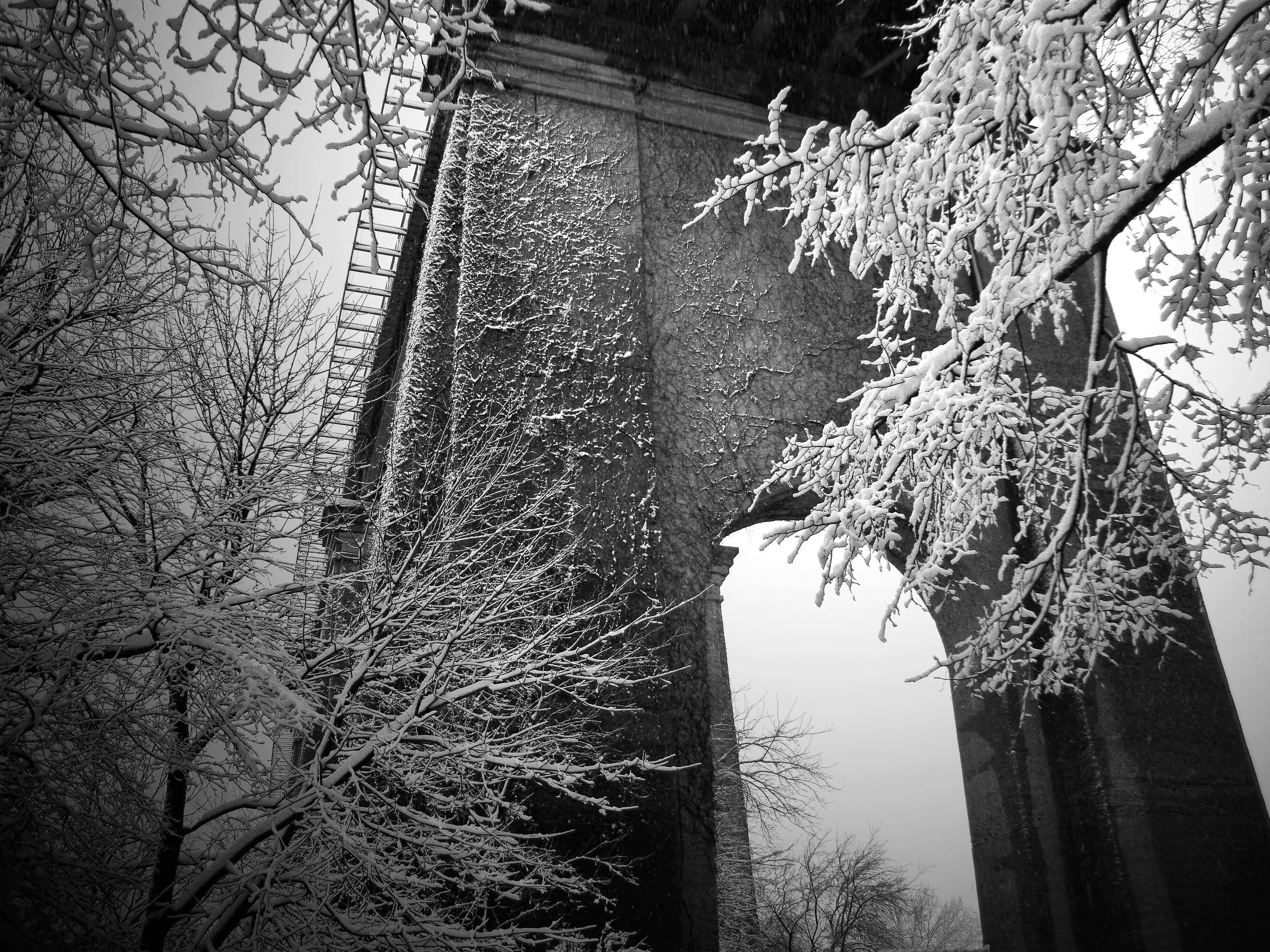 ベストny 壁紙 Iphone 最高の花の画像