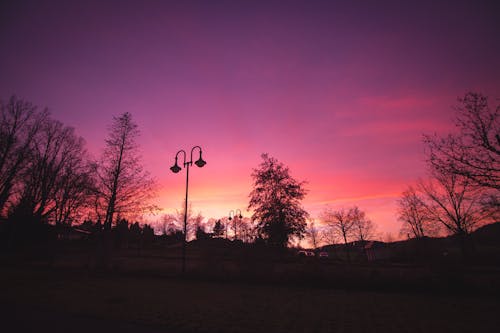 Free stock photo of branches, canon, clouds