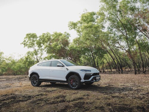 คลังภาพถ่ายฟรี ของ urus, จอด, พาหนะ