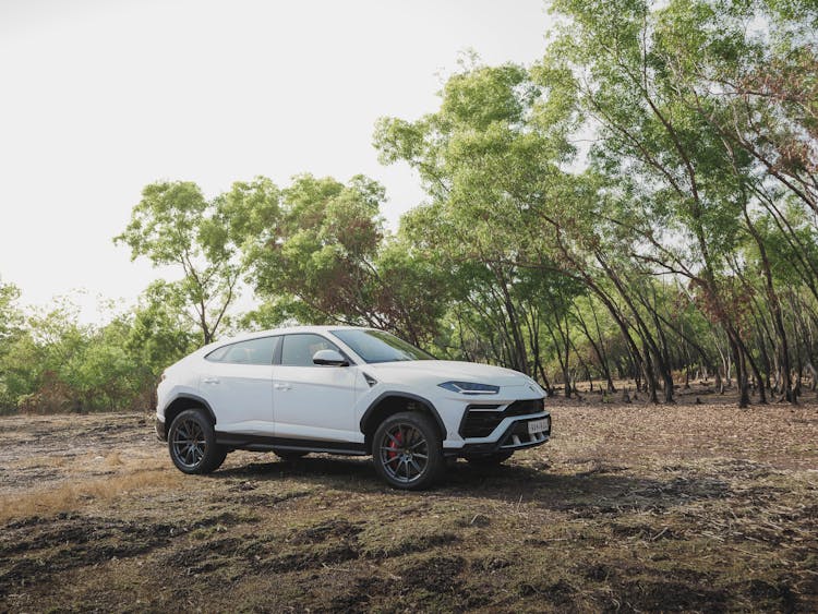 A Parked White Lamborghini Urus