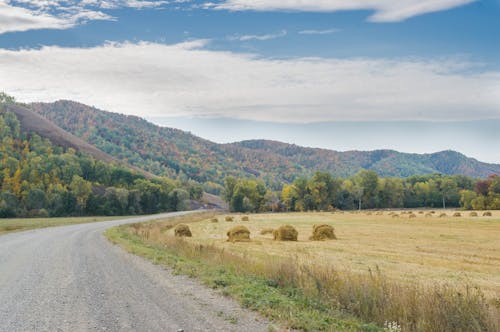 Unpaved Road Beside Grass Field and Mountains