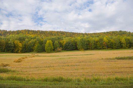 Beautiful autumn landscape in Bashkortostan, Russia with colorful foliage and open fields under a cloudy sky.