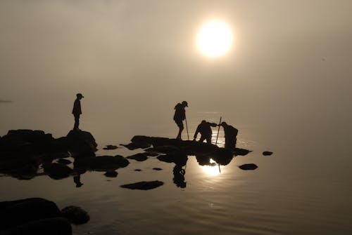 Silhouettes of People Fishing on the Sea