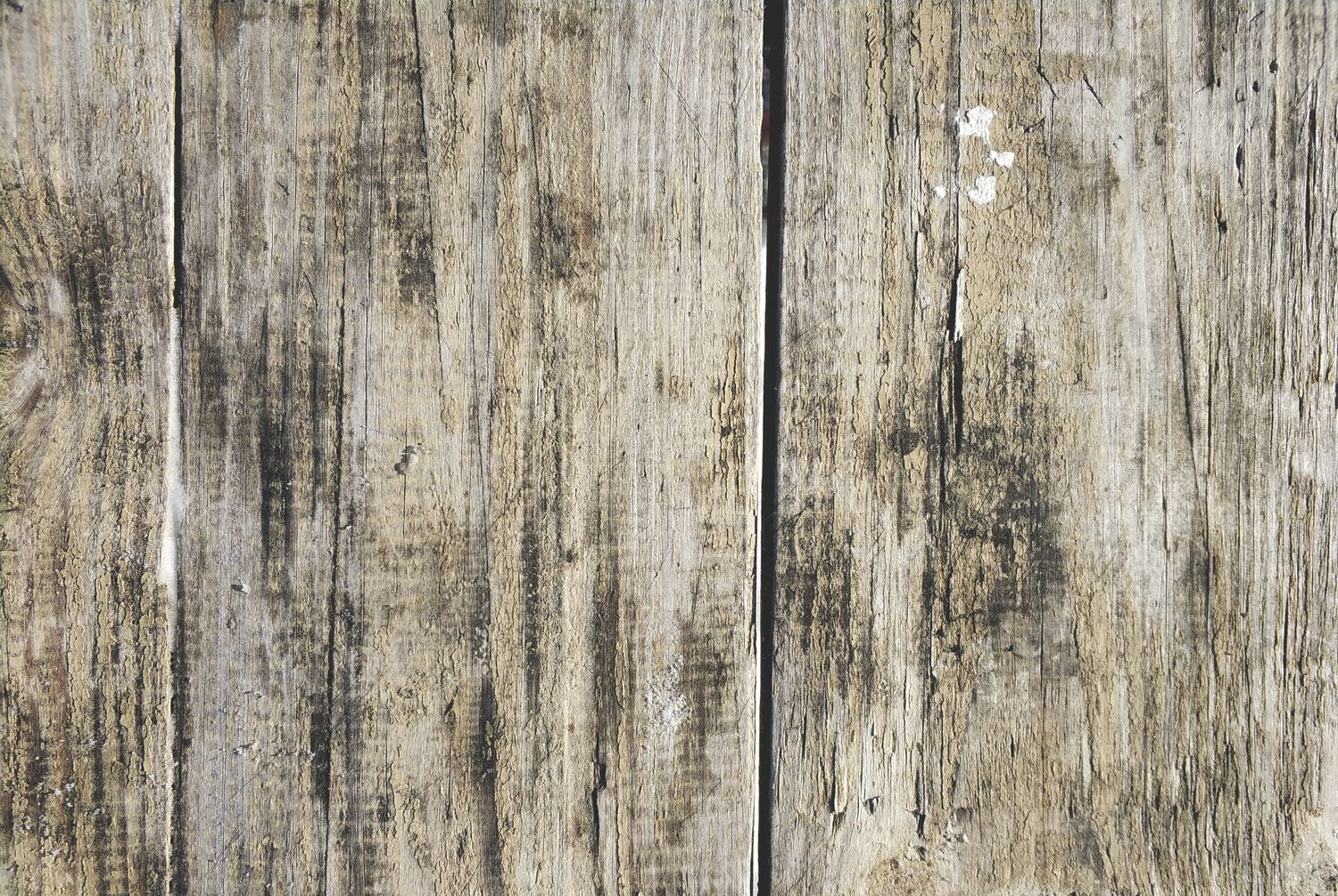 Bois naturel aux formes irrégulières