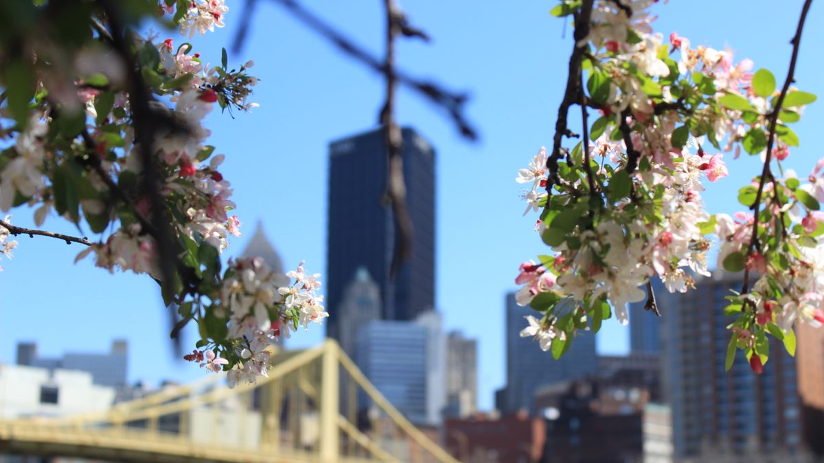 Gift Card Giveaways in Pittsburgh, PA: Updated 2026 List for Local Winners