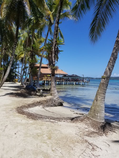 Fotos de stock gratuitas de isla, mar, playa