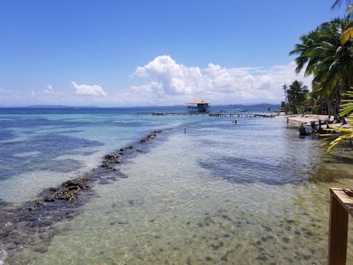 Free stock photo of beaches, water