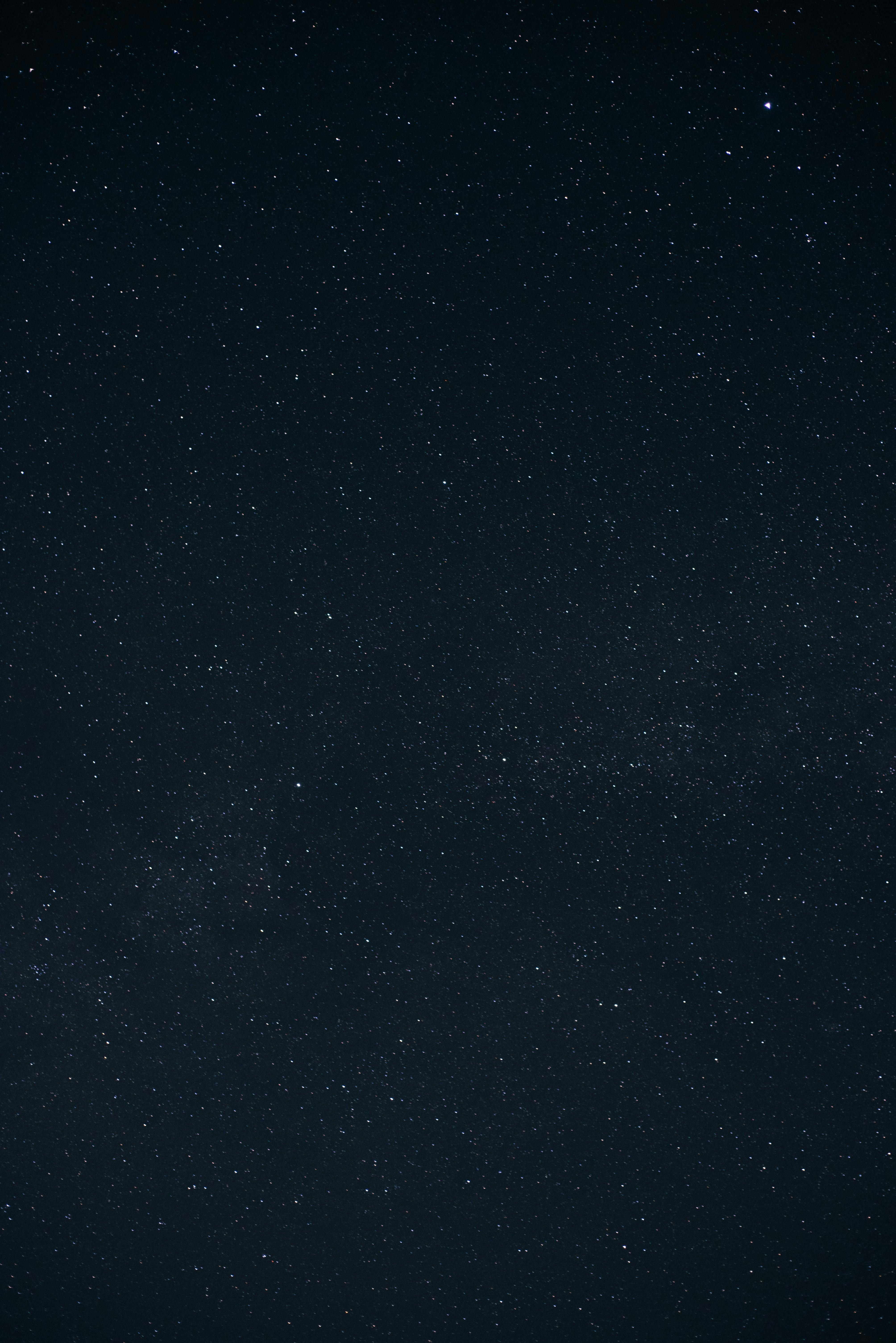 A stunning view of a star-filled night sky showcasing numerous constellations.