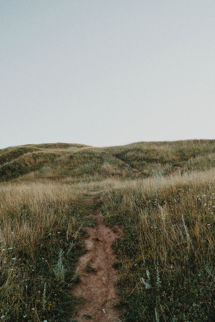 Explore a tranquil unpaved pathway through lush grassy hills under a clear sky.
