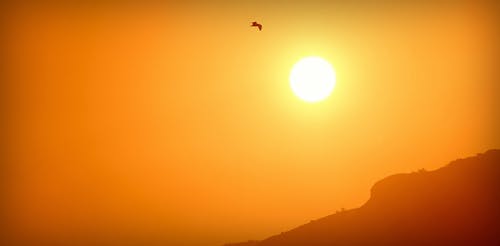 capri adası, gün batımı, gün batımı martı içeren Ücretsiz stok fotoğraf
