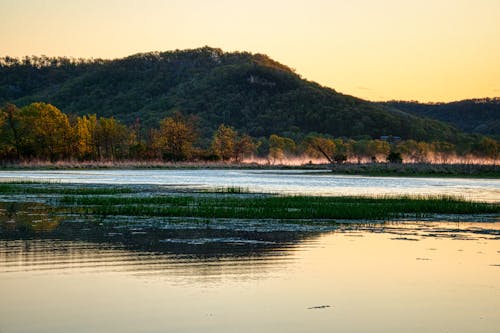Kostnadsfri bild av flod, fredlig, gratis bakgrundsbild