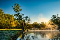 Green Trees Beside River Under Blue Sky