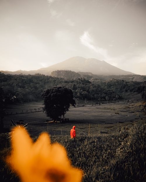 Free A single traveler in a red jacket explores a picturesque rural field beneath a towering mountain. Stock Photo