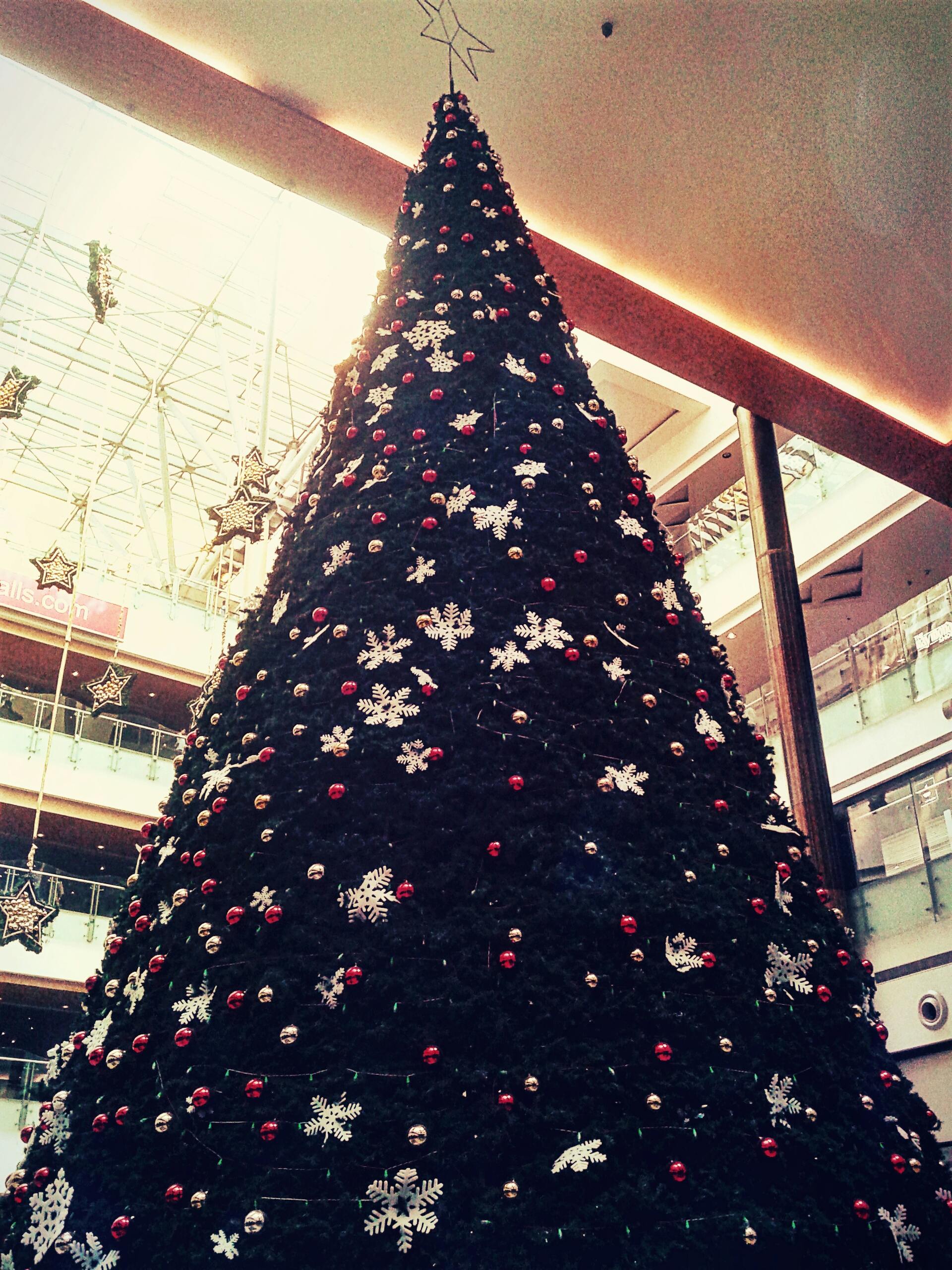 Free stock photo of #christmas#tree#decoration#festival#star#beauty